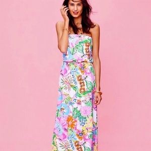 💛 Lilly Pulitzer for Target Nosey Posey Maxi Dress size small